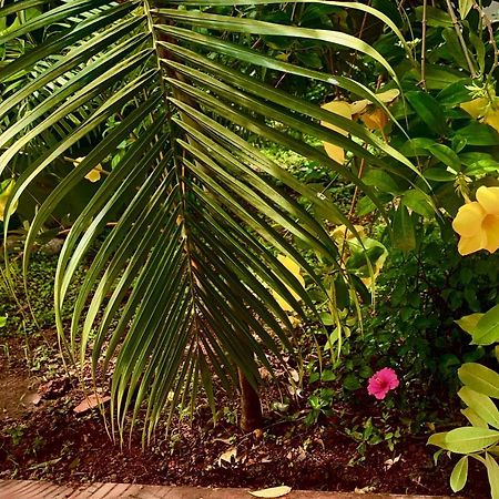 Stan-Inn, North Goa, Vagator, With Strong Wifi,Free Private Parking & Kitchen, Can Cook Where You Stay Eksteriør billede